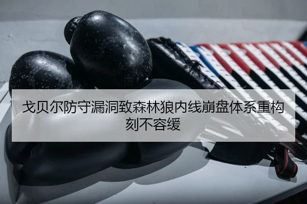 戈贝尔防守漏洞致森林狼内线崩盘体系重构刻不容缓